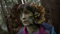 The Haunting Hour : The series