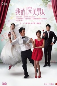 我的完美男人 (2011)