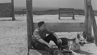 «Ко мне, Мухтар! (1964)» — обои к фильму #10