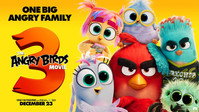 «Angry Birds 3 в кино (2026)» — обои к мультфильму #3
