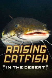 Poster do Filme Raising Catfish in the Desert
