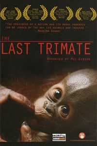 Poster de The Last Trimate