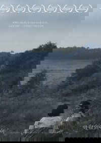 Daughter of the Wind