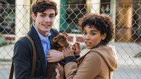 «Путь домой (2019)» — обои к фильму #6