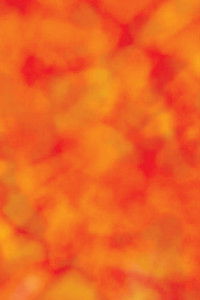 Imagem do Filme Organ harvest