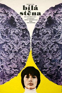 Постер фильма «Белая стена (1975)» — (1 из 1)