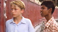 «Дерево колибри (1992)» — обои к фильму #1