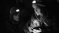 «Зелёная граница (2023)» — обои к фильму #1