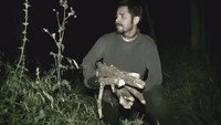 «The Woodsman (2012)» — обои к фильму #1