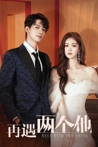 Poster de 再遇两个他