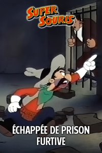 Echappée De Prison Furtive