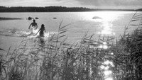 «Она танцевала одно лето (1951)» — обои к фильму #1
