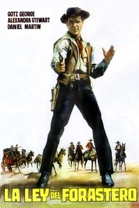 Poster de Sie nannten ihn Gringo