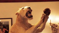 «The Trophy Hunter (2012)» — обои к фильму #1