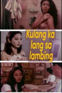 Постер фильма «Kulang ka lang sa lambing (1997)» — (1 из 1)