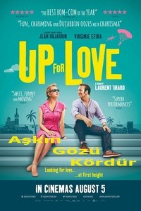 Up for Love poster