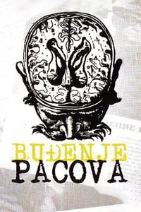 Буђење пацова (1967)