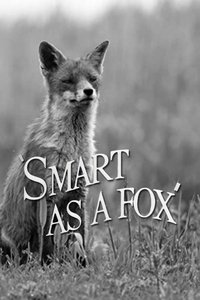 Smart as a Fox