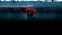 The Host