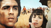 «Братья мои, бродяги, перелетные птицы (1971)» — обои к фильму #1