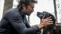 «The Rescue» — обои к фильму #3