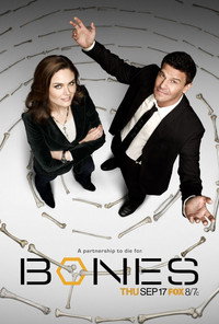 Постер сериала «Кости (2005 - 2017)» — (78 из 181)