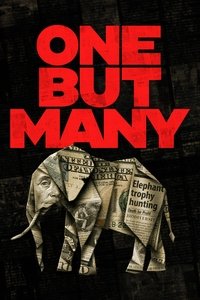 Affiche de One But Many