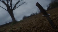 «Besnilo (2021)» — обои к фильму #1