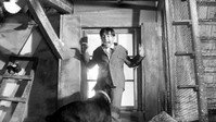 «Индийский шарф (1963)» — обои к фильму #5