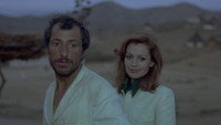 «La via dei babbuini (1974)» — обои к фильму #3