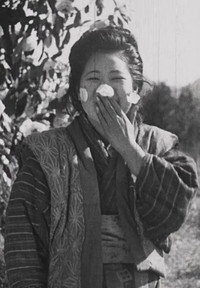 寒椿