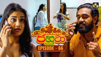 Episode 66