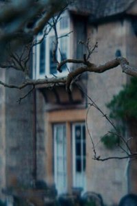 movie-images