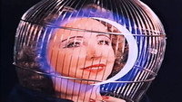 «Торжественное открытие храма наслаждений (1954)» — обои к фильму #9