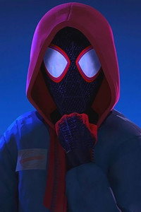 Постер мультфильма «Человек-паук: Через вселенные (2018)» — (63 из 307)
