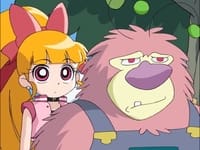 Coach Kaoru's Crash-Course Soccer! / Fuzzy in Love!