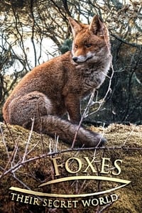 tv show poster Foxes%3A+Their+Secret+World 2021