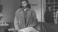 «Ночные компаньоны (1953)» — обои к фильму #1