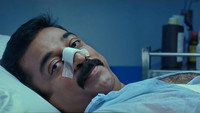 «Охота (2006)» — обои к фильму #3