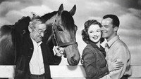 «История Фаворита (1949)» — обои к фильму #1