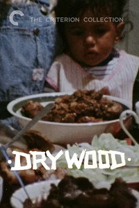 Постер фильма «Dry Wood (1973)» — (5 из 5)