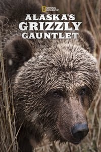 copertina serie tv Alaska%27s+Grizzly+Gauntlet 2018