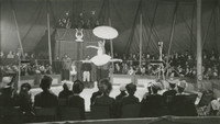 «Эльвира Мадиган (1943)» — обои к фильму #1