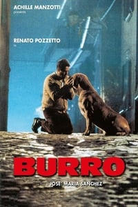 Poster de Burro