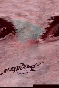 Poster de Patience (Sabali)