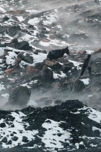Imagem do Filme Afgan Kömürü