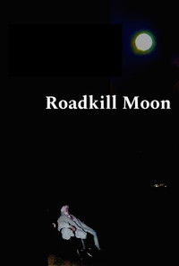 Imagem do Filme Roadkill Moon