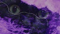 A Ship of Madness: Deeper and Higher with Pazucus