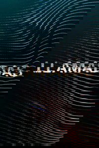 Poster de Llamadas