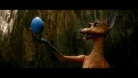 The Fox & the Bird